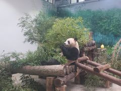 -杭州动物园