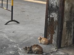 -广州市紫泥堂文化创意园景区