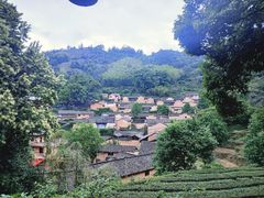 -杨家堂村