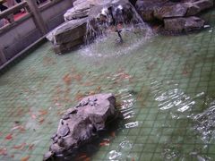 -华林禅寺