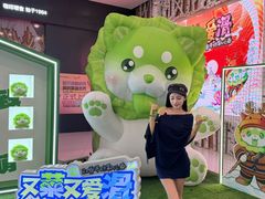 -哈尔滨热雪奇迹
