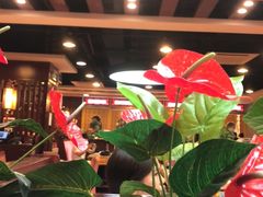 -点都德(汇盈广场店)