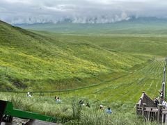 -新疆那拉提国家旅游度假区