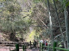 -山沟沟景区