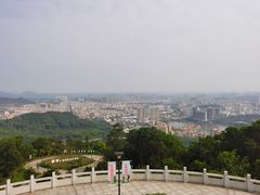 -金山植物公园