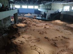 -自贡恐龙博物馆