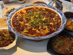 -新概念来凤鱼(璧山店)