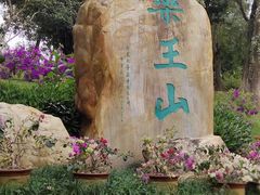 -广东中医药博物馆