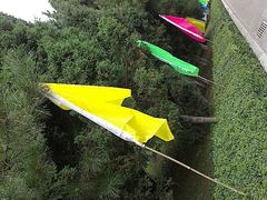 -辽宁大学(崇山校区)