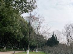-中央公园(苏州工业园区)