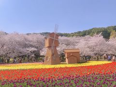 -苏州上方山国家森林公园