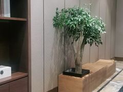 -领事馆19号中餐厅(厦门海景洲际酒店)