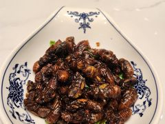 -古萧汪家羊肉馆(龙山路总店)