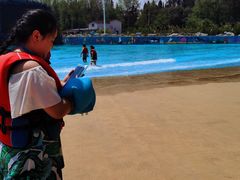 -青鱼湾水上乐园