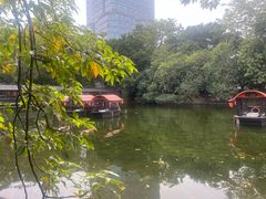 -侨美·唐荔园·40年地道粤菜