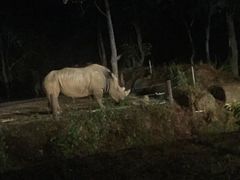 -清迈夜间动物园