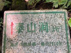 -梧桐山风景名胜区