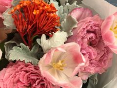 -BEAST野兽派(上海浦东嘉里城店)