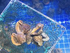 -阳光海岸露营公园