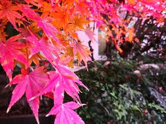 -上海市保健医疗中心