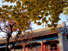 -北京石刻艺术博物馆(五塔寺)