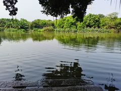 -小洲村