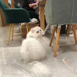-隅日式美甲美睫專門店