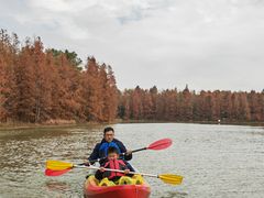 -上海海湾国家森林公园