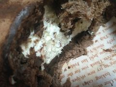 脏脏包-韩国利尔面包(桂林路店)