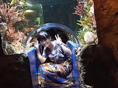 -暹罗海洋世界
