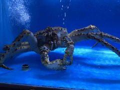 -月下料理(楷林IFC店)