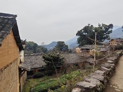 -杨家堂村