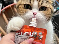 -WOW LUCKY创意韩料(龙阳广场店)