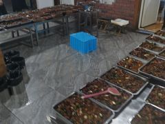 -向民炒鸡老店(火车站店)