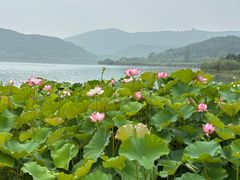 -南北湖风景区