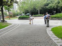 -苏州河梦清园环保主题公园