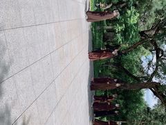 -大乘寺