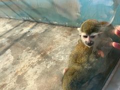 -秦皇岛野生动物园