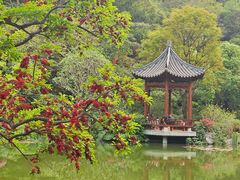 -云溪植物园