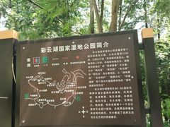 -重庆彩云湖湿地公园