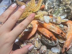 -前海沿·青岛菜(五四广场永旺店)