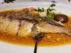 清蒸鲥鱼-涵苑私宴定制(外滩店)