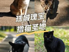 -广州珠江公园