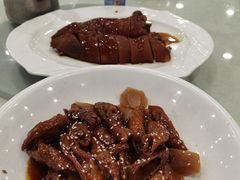 -姚林轩