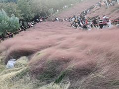 -牛岗山公园