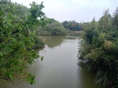 -梁鸿国家湿地公园