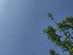 -重庆平顶山公园