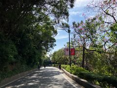 -点都德(广州白云山景区南门店)