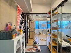 -有喵·猫咖·狗咖·30几只猫10只小狗(岗厦店)