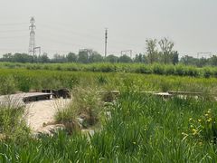 -永定河休闲森林公园